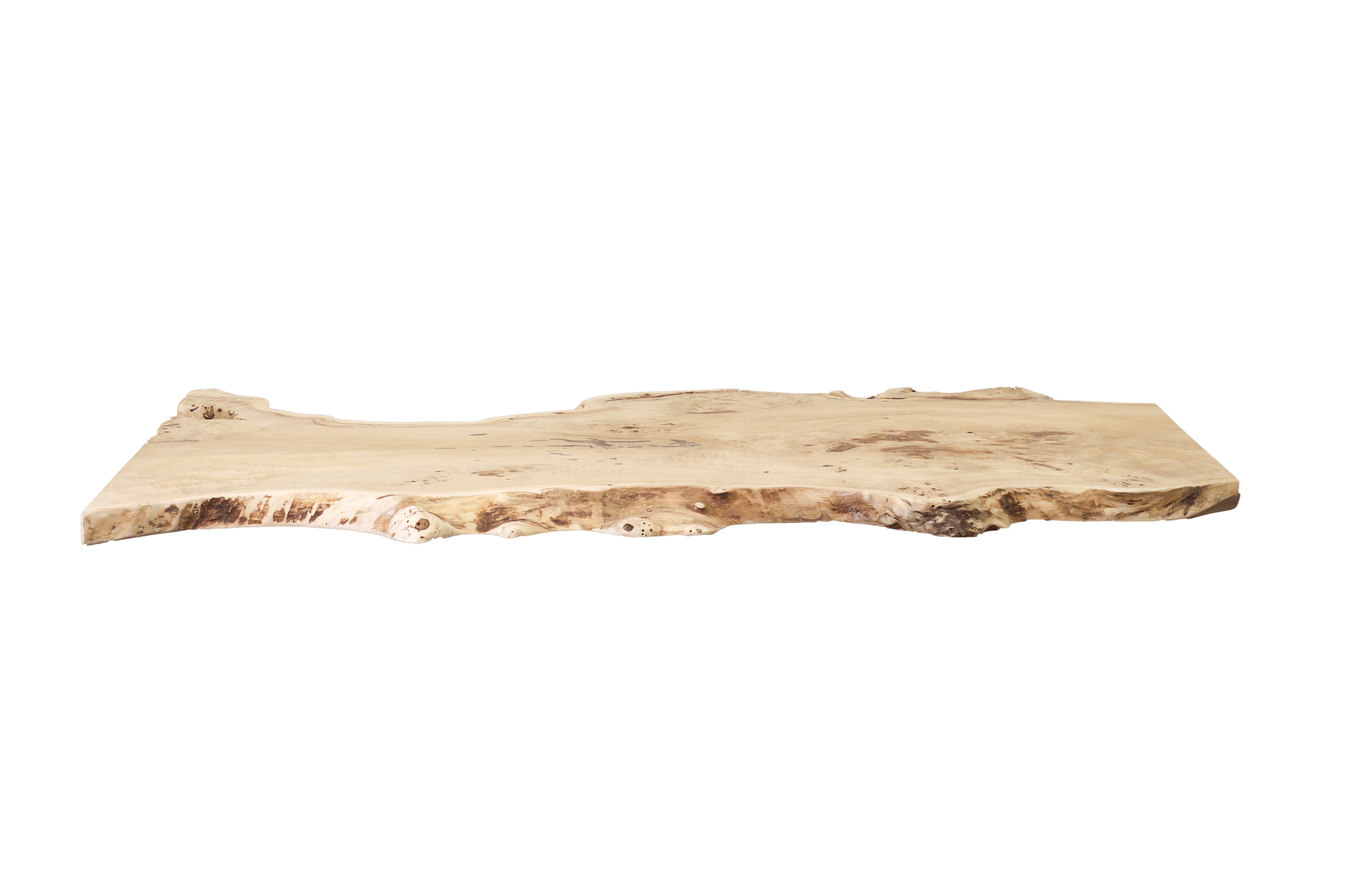 Baumtisch Maserpappel