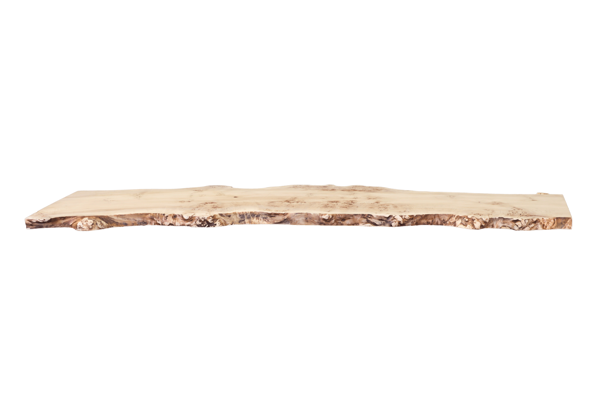 Baumtisch Maserpappel