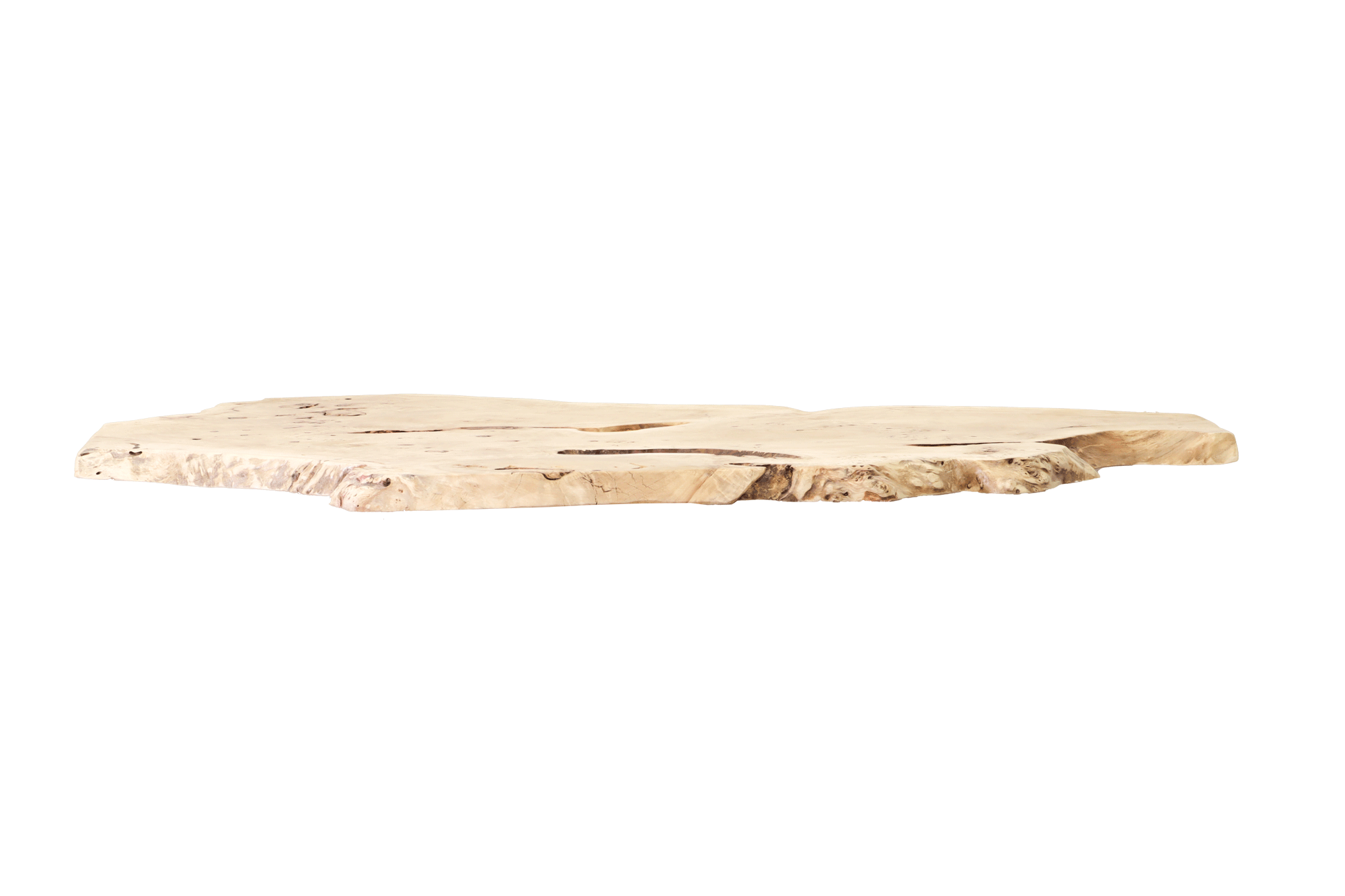 Baumtisch Maserpappel