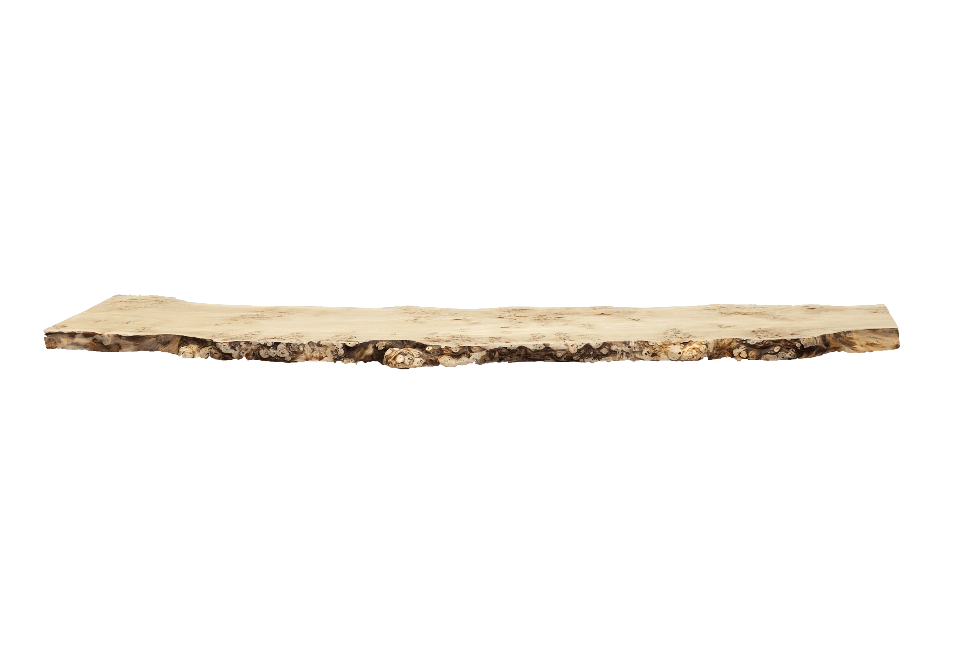 Baumtisch Maserpappel