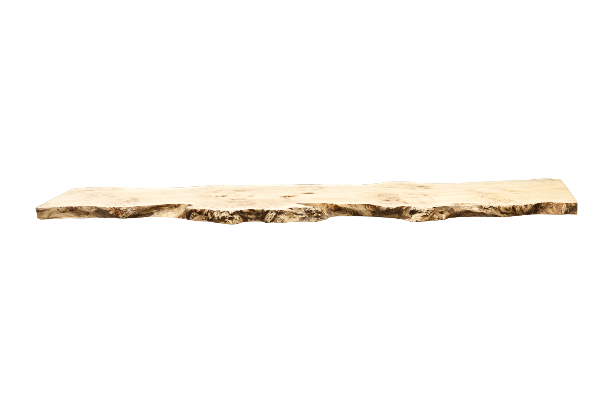 Baumtisch Maserpappel