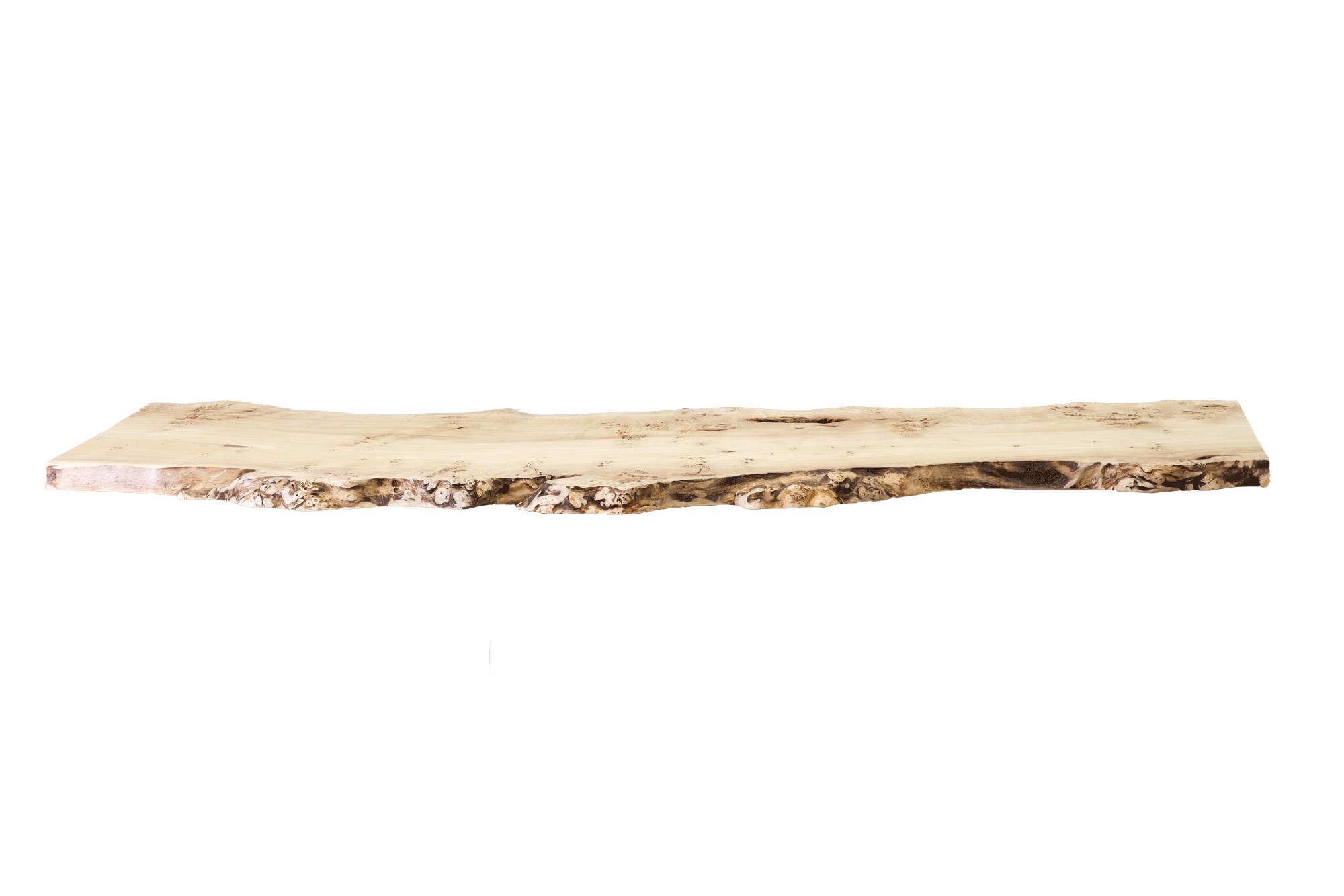 Baumtisch Maserpappel